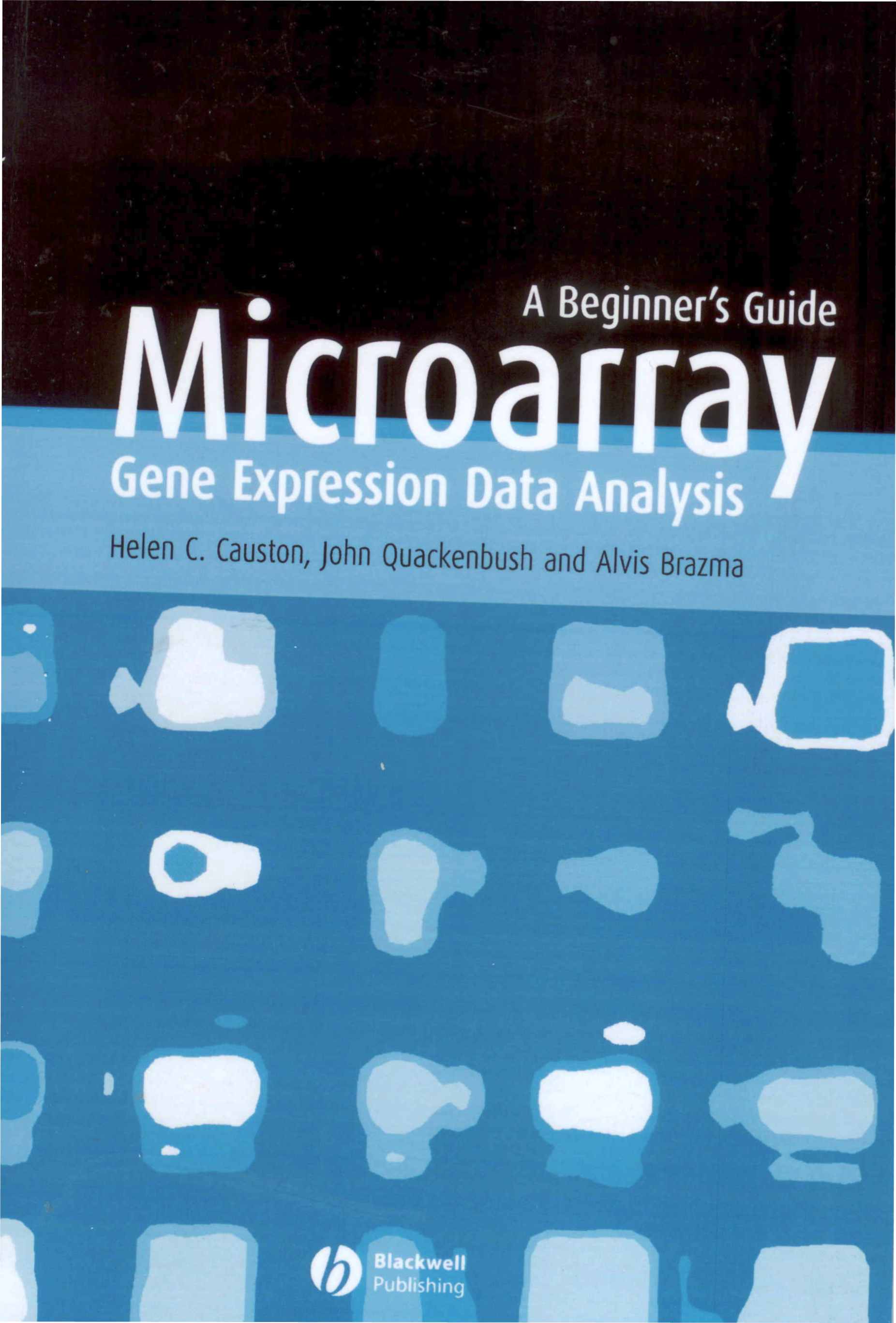 http://www.cenicana.org/investigacion/seica/imagenes_libros/2010/microarray.jpg