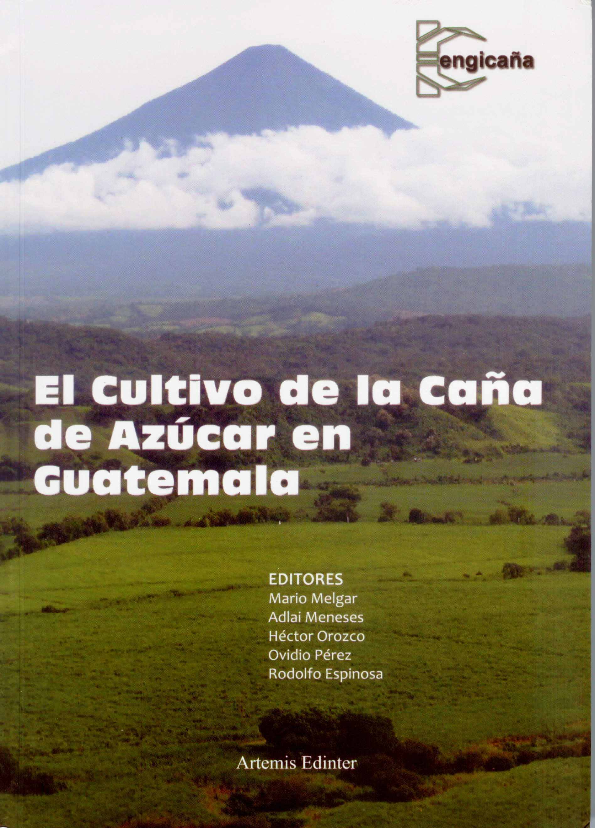 http://www.cenicana.org/investigacion/seica/imagenes_libros/2012/nov_2012/caratula_cultivo_cana.jpg
