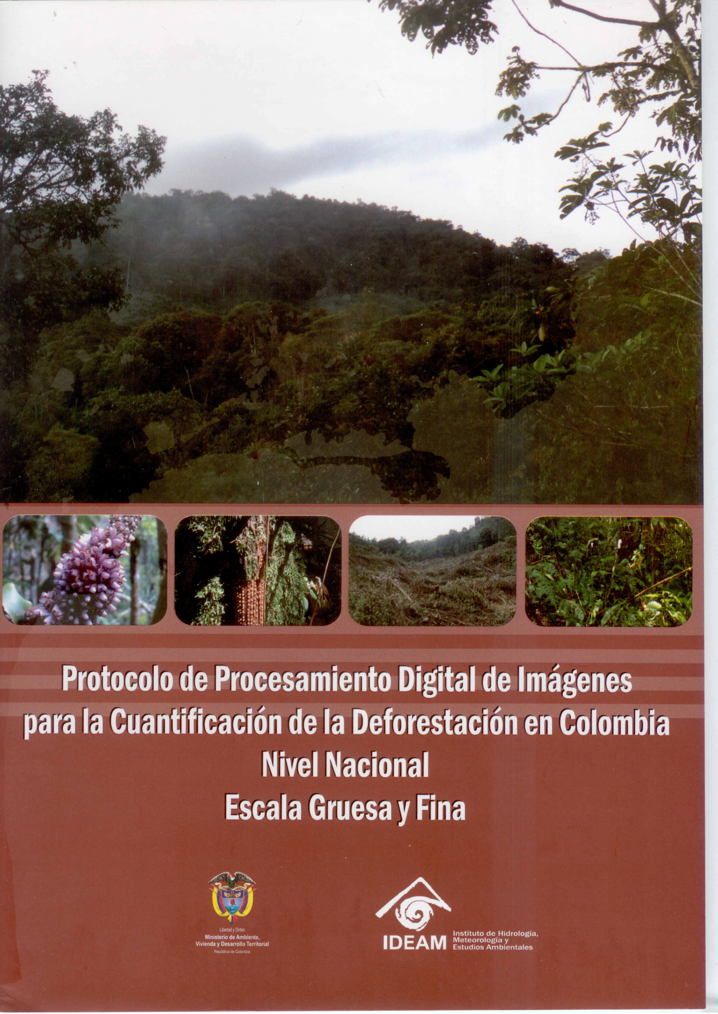 http://www.cenicana.org/investigacion/seica/imagenes_libros/2012/nov_2012/protocolo_procesamiento.jpg