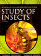 http://www.cenicana.org/investigacion/seica/imagenes_libros/study-of-insects.jpg