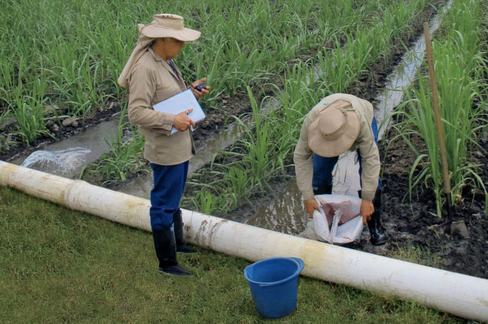 Administrative Control of Irrigation, CAR. Methodological guide