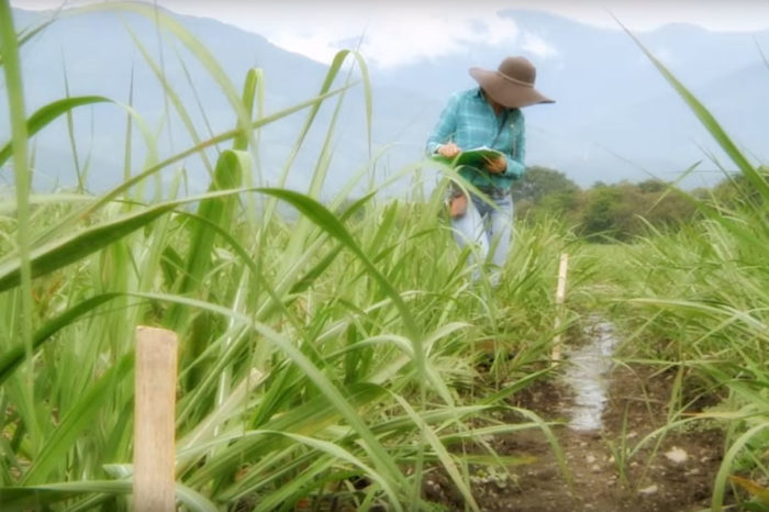 Prueba de avance e infiltración del agua en los surcos
