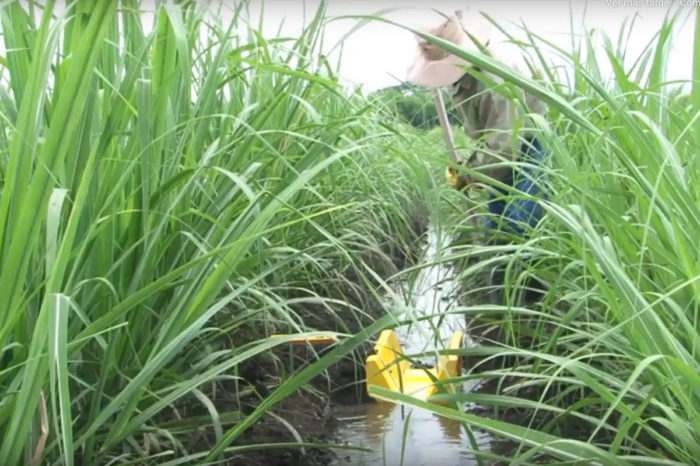 Determination of the volume of water applied per hectare in the irrigation of the sugarcane crop