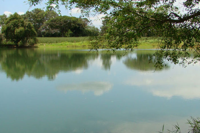 Water table