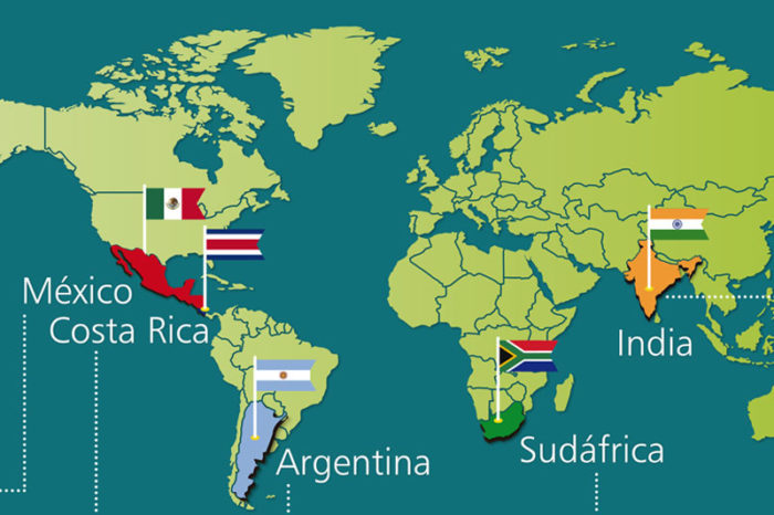 What varieties of cane are sown in the world? Part II