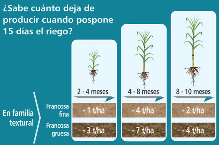 How efficient is water management on your property?