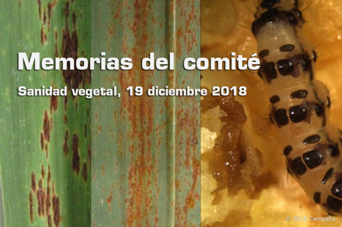 Committee on Plant Health of Sugarcane, December 19 of 2018