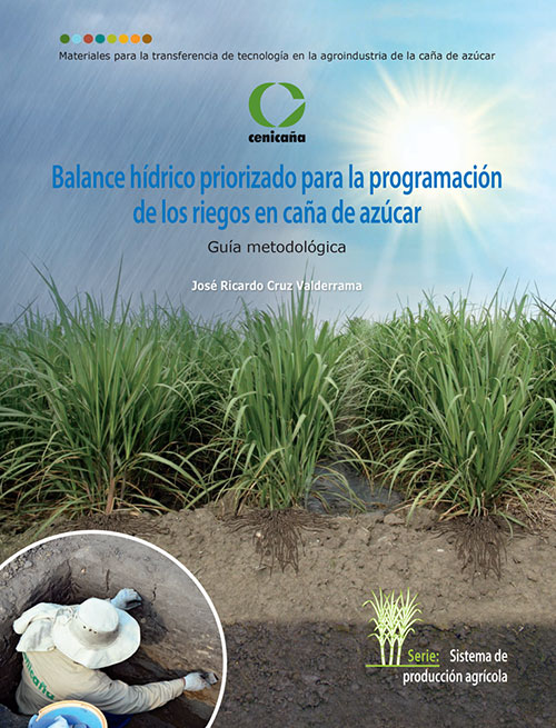 Una rueda hidráulica en el agua que revoluciona el riego de los cultivos