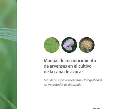 Manual de reconocimiento de arvenses en el cultivo de la caña de azúcar