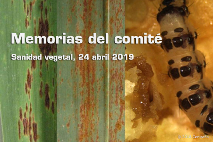 Comité de sanidad vegetal de la caña de azúcar, 24 de abril de 2019