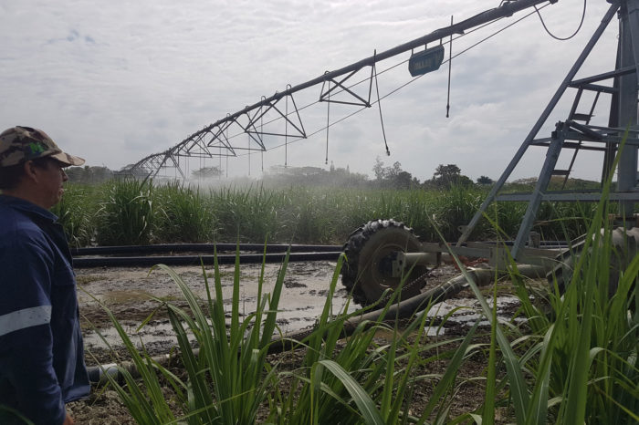 Sprinkler mechanized irrigation systems: alternatives that gain ground