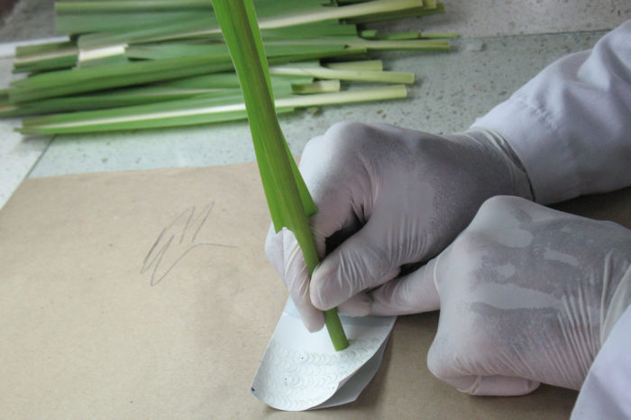 Servicio de análisis de tejido foliar para recomendaciones de fertilización
