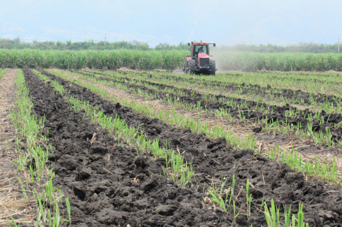 Agronomy program