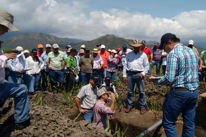 Technical cooperation and technology transfer service