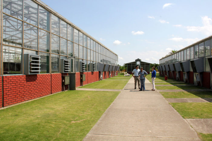 Superintendency of the experimental station