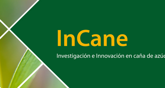 InCane: Bulletin No.7