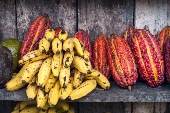 Mujeres en la ciencia: agricultura sostenible en Colombia