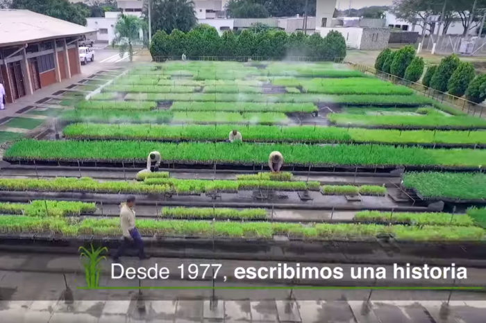 Acerca de Cenicaña