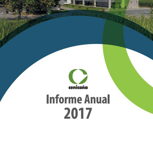 Informe anual 2017