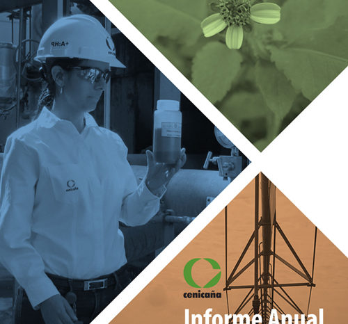 Informe anual 2018