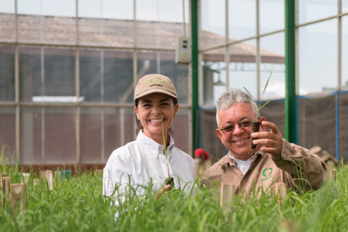 Selection and development of varieties: current status and projections, Apr 08, 2020