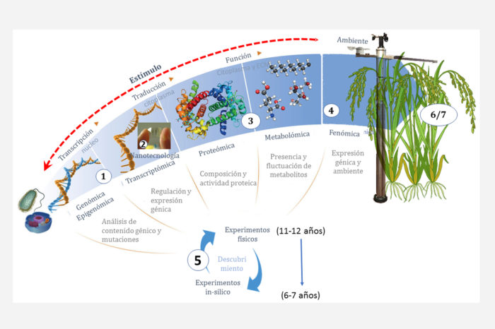 Ómicas: a scientific contribution from agribusiness to the country's food security