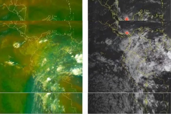 Climate and productivity: forecast and projections, Apr 03, 2020
