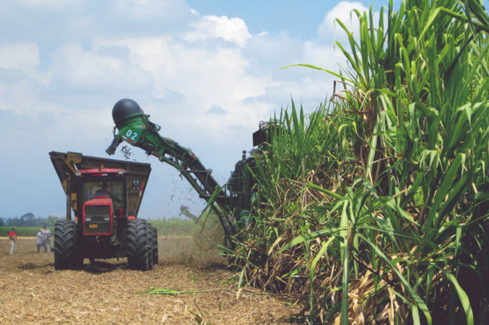 Sugarcane harvest in the Cauca river valley: evolution and technological challenges, Apr 22, 2020