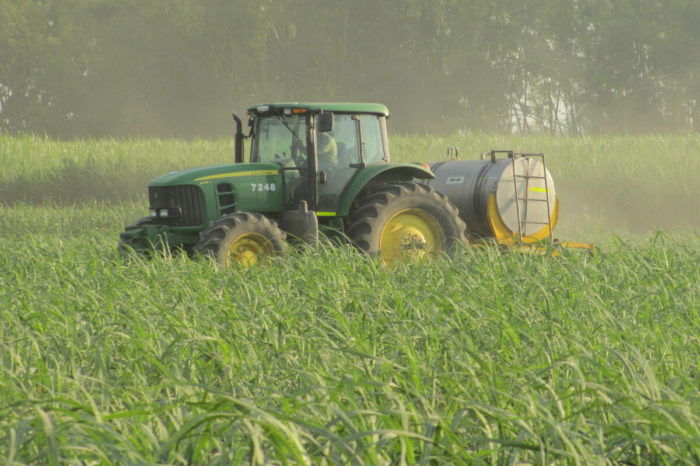 Basic concepts of fertilization in sugar cane, May 26, 2020