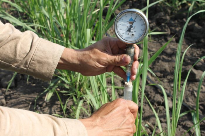 Water in the soil, May 06, 2020