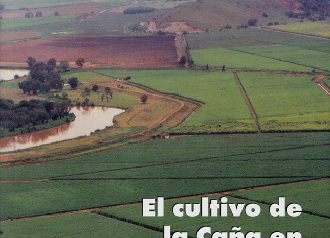 El cultivo de la caña en la zona azucarera de Colombia