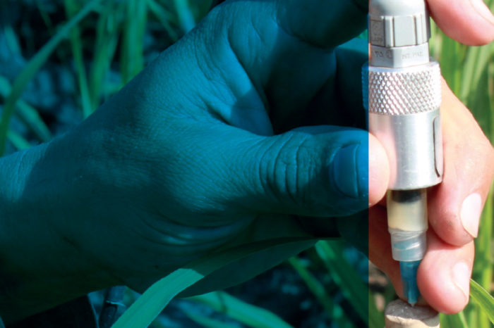 Use of sensors for irrigation control. Educational primer