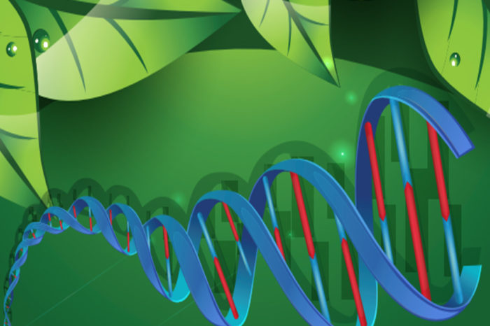 Phenomics and Genomics Tools, key strategies to accelerate the genetic gain of crops, Jun 5, 2020