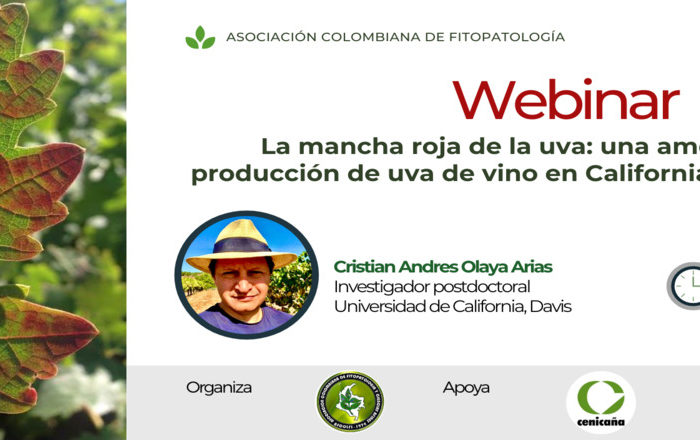 La mancha roja de la uva: una amenaza para la producción en California, 11-sep-2020