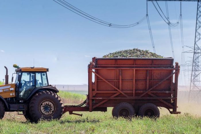 Vallecaucana energy helps move the entire country