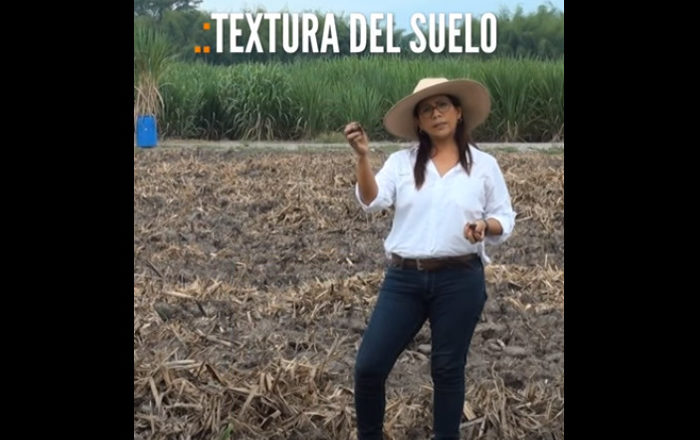 #Tips for farmers | Soil texture. Determination of humidity level