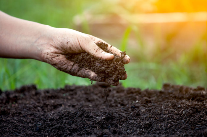 Required: Soil Microbiologist