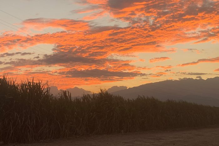 Seasonal forecast bulletin for the Cauca river valley, 4-Mar-2022