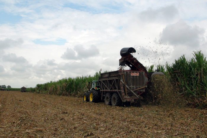 Required: Agricultural, Agronomist or Industrial Engineer