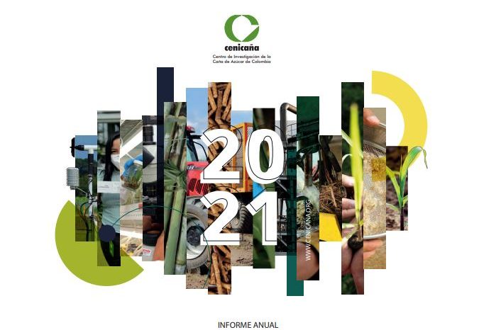 Informe anual 2021