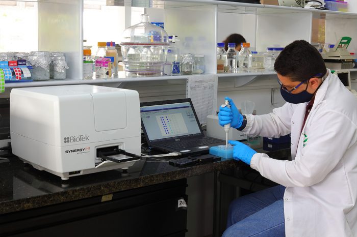 Validation of genotyping techniques for the detection of molecular markers in sugarcane