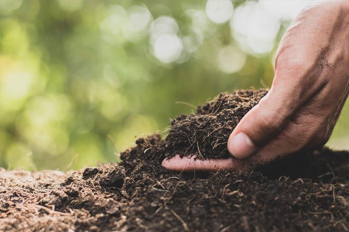 Required: Agricultural engineer, agronomist or related careers
