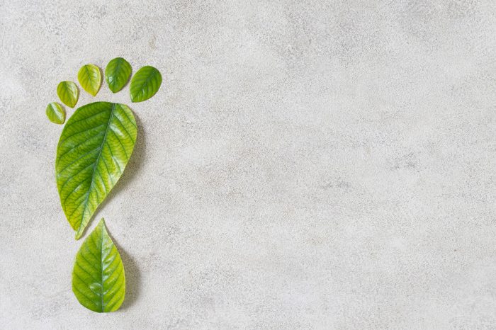 Required: Sanitary and environmental engineer or related careers