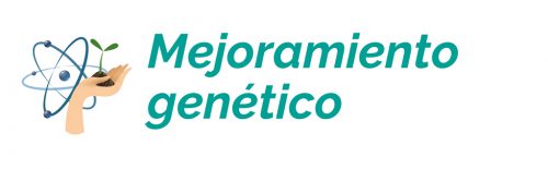 Mejoramiento-genetico