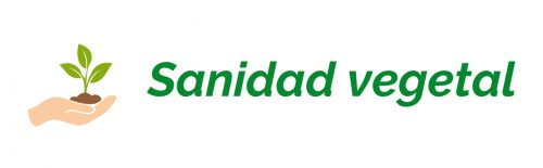 Sanidad-vegetal